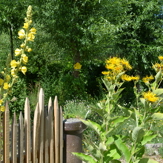 die Garten Tulln  - Augartenparadies. Gemeinschaftsprojekt mehrerer Fachbetriebe aus dem REWISA-Netzwerk