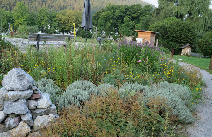 Kräuter-Duftbeet im Bereich mit vorwiegend gelb blühenden Pflanzen im Herbst © Maria Siegl