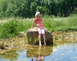 Schwimmteich Buchkirchen © Luger