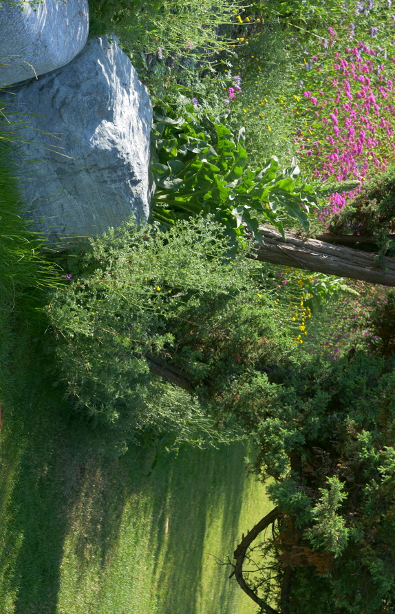 Detail der neu gestalteten Böschung  © Maria Siegl