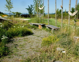 Naturgarten Ritzlhof © Kumpfmüller