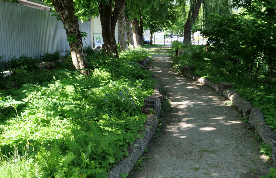 Waldgarten im 2. Jahr © Maria Siegl