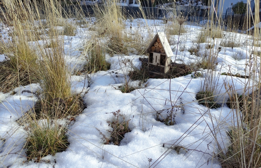 Gründach im Winter © Manfred Luger