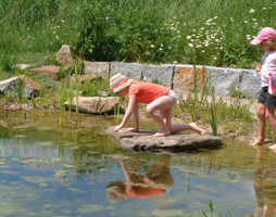 Schwimmteich Buchkirchen © Luger