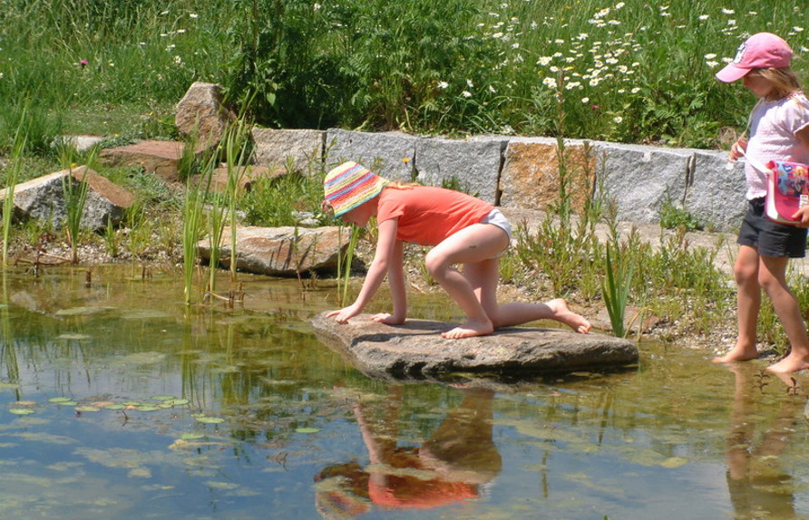 Schwimmteich Buchkirchen © Luger