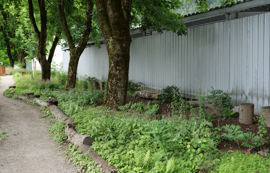 Waldgarten  © Maria Siegl