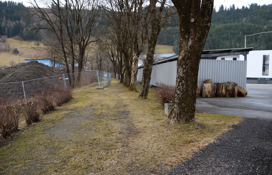 Ausgangssituation für den geplanten ‚Waldgarten‘ © Maria Siegl