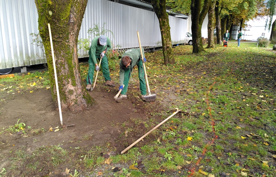 Gestaltung des Waldgartens – vorsichtige manuelle Arbeit im Bereich der Baumwurzeln © Maria Siegl