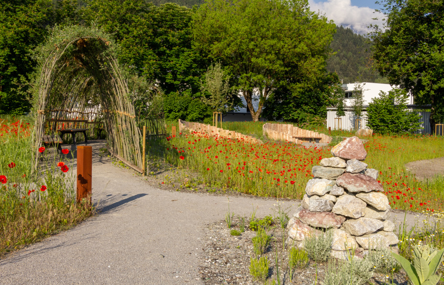 Weidentunnel mit umgebender artenreicher Blumenwiese im 1. Jahr nach der Anlage © Maria Siegl